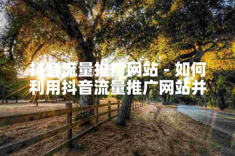 抖音流量推广网站 - 如何利用抖音流量推广网站并提升用户关注度！