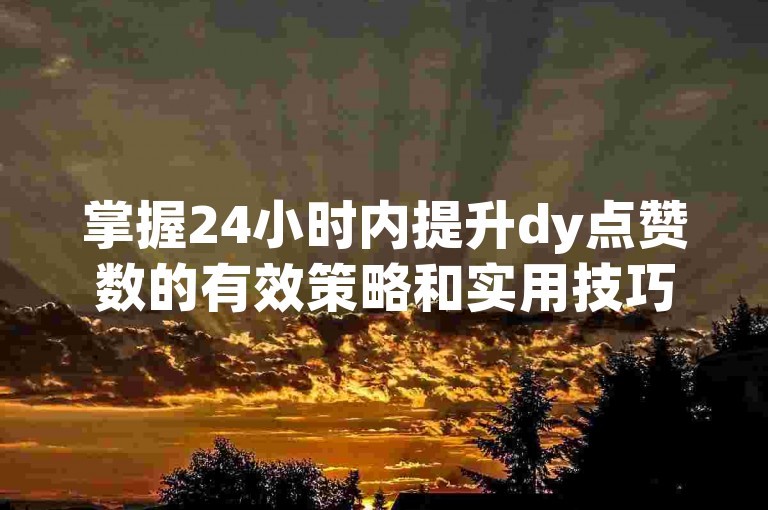 掌握24小时内提升dy点赞数的有效策略和实用技巧。
