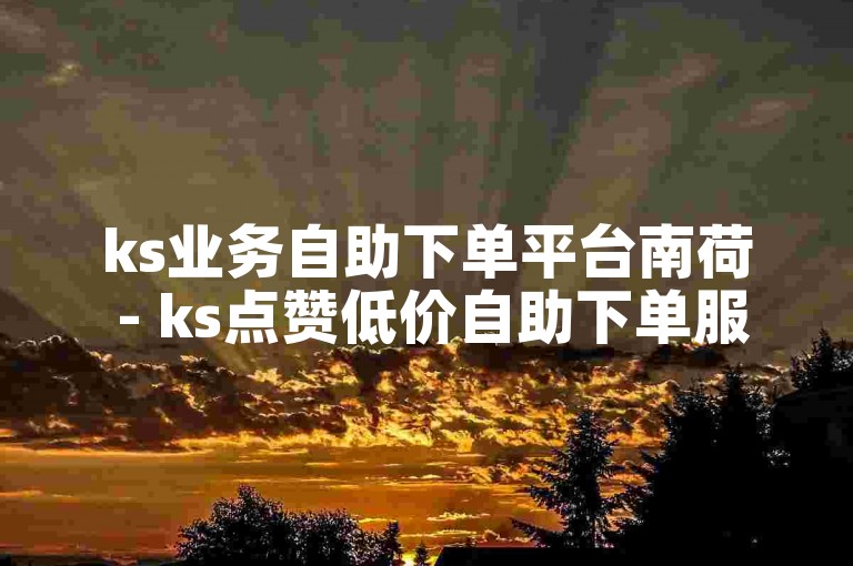 ks业务自助下单平台南荷 - ks点赞低价自助下单服务