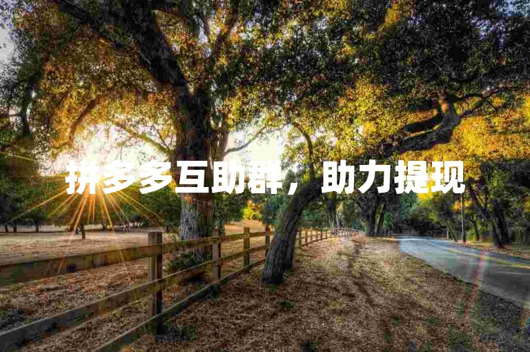 拼多多互助群，助力提现500元。