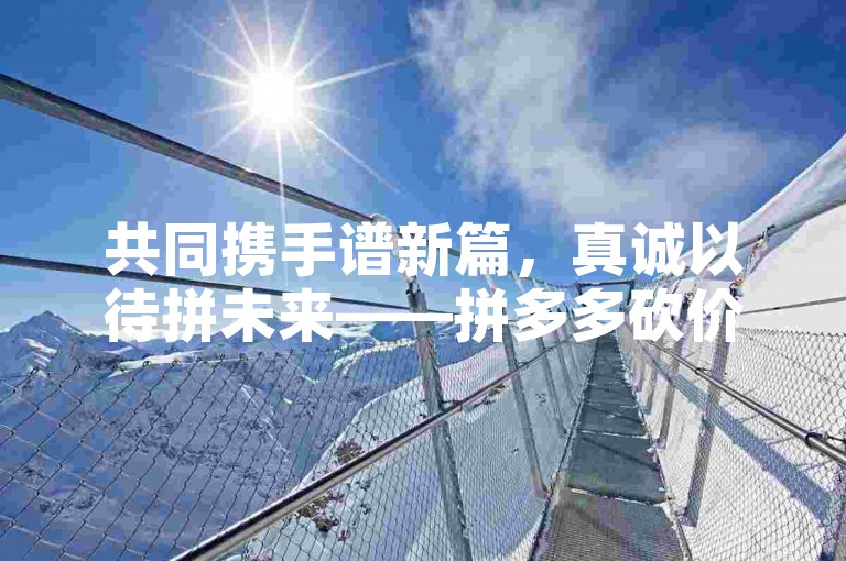 共同携手谱新篇，真诚以待拼未来——拼多多砍价新时代展望