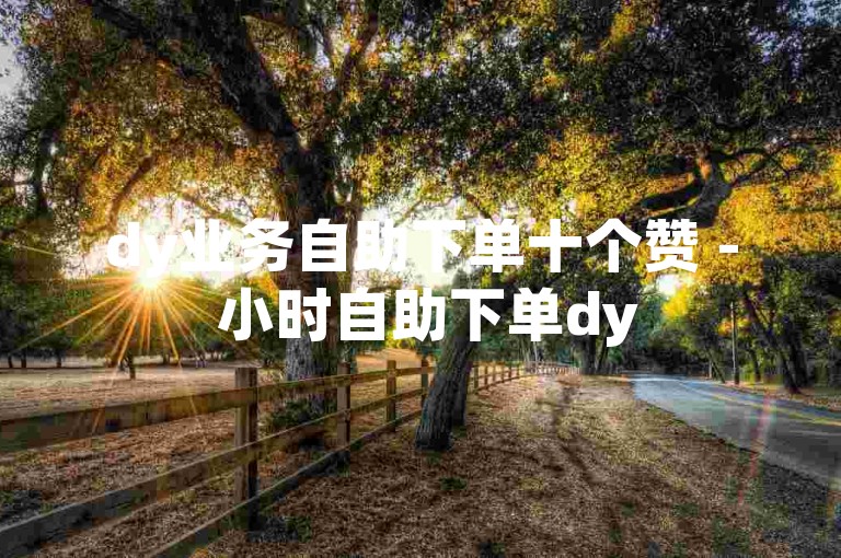 dy业务自助下单十个赞 - 小时自助下单dy