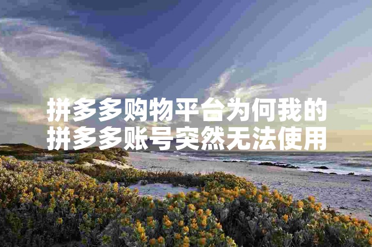 拼多多购物平台为何我的拼多多账号突然无法使用运费险服务了？