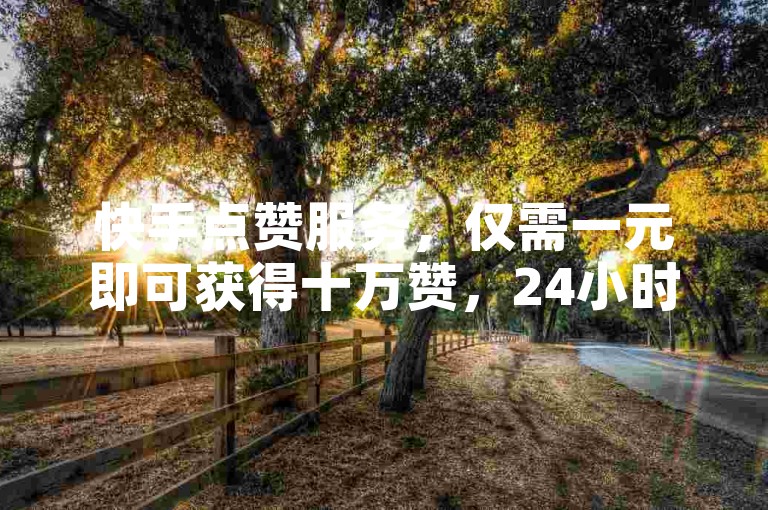 快手点赞服务，仅需一元即可获得十万赞，24小时自助免费下单软件助你快速提升人气。