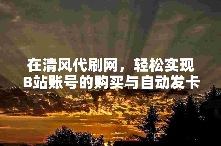 在清风代刷网，轻松实现B站账号的购买与自动发卡服务。