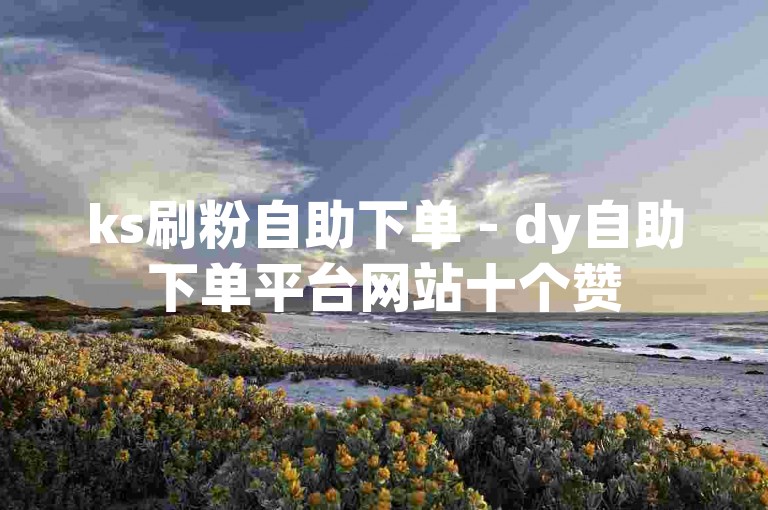 ks刷粉自助下单 - dy自助下单平台网站十个赞