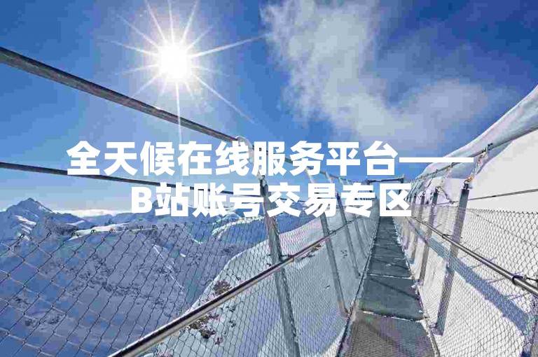 全天候在线服务平台——B站账号交易专区
