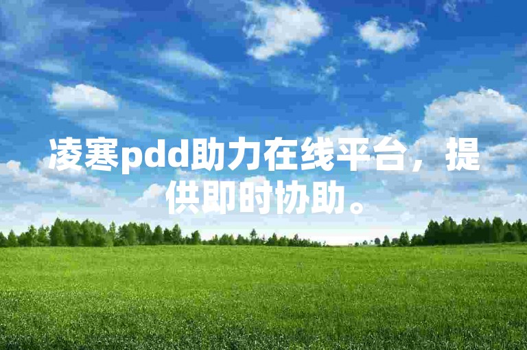 凌寒pdd助力在线平台，提供即时协助。