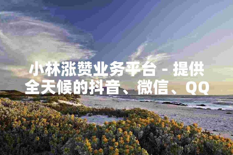 小林涨赞业务平台 - 提供全天候的抖音、微信、QQ自助下单服务。