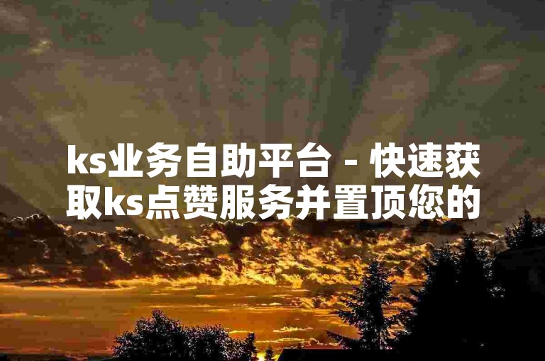 ks业务自助平台 - 快速获取ks点赞服务并置顶您的视频