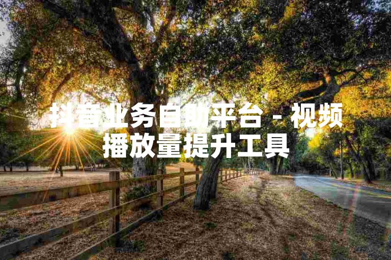 抖音业务自助平台 - 视频播放量提升工具