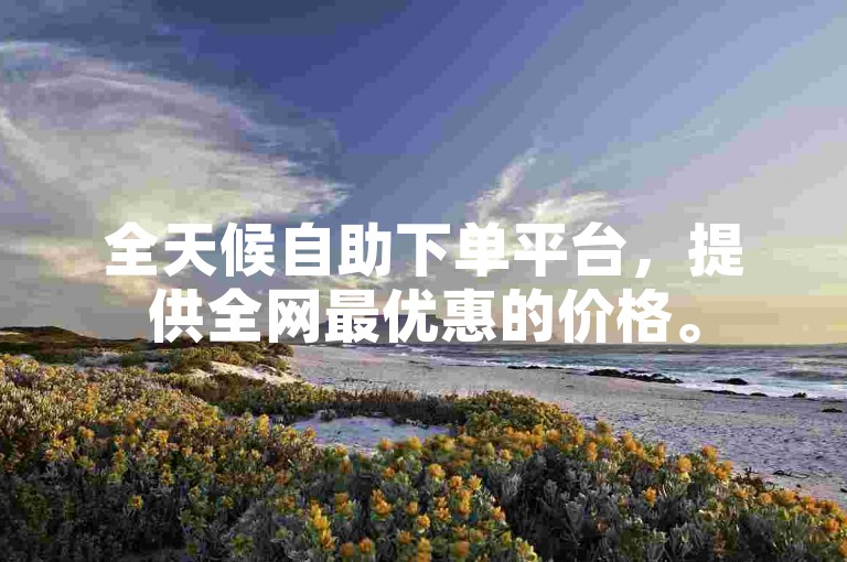 全天候自助下单平台，提供全网最优惠的价格。