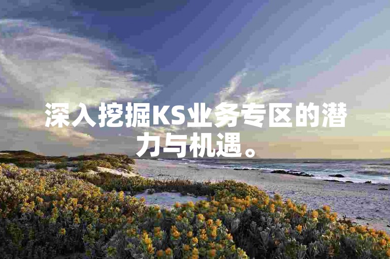 深入挖掘KS业务专区的潜力与机遇。