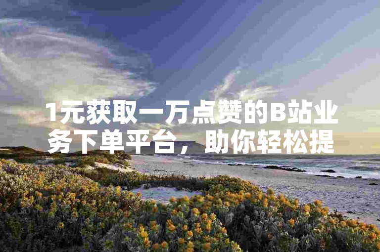 1元获取一万点赞的B站业务下单平台，助你轻松提升视频热度。