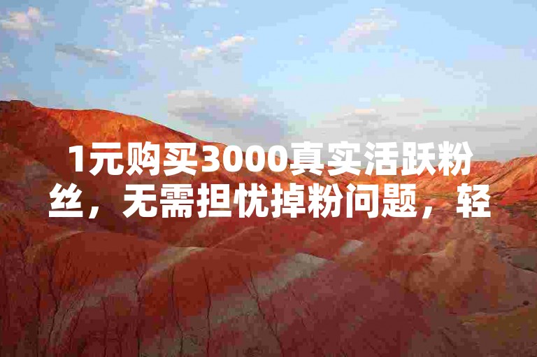1元购买3000真实活跃粉丝，无需担忧掉粉问题，轻松实现粉丝快速增长。