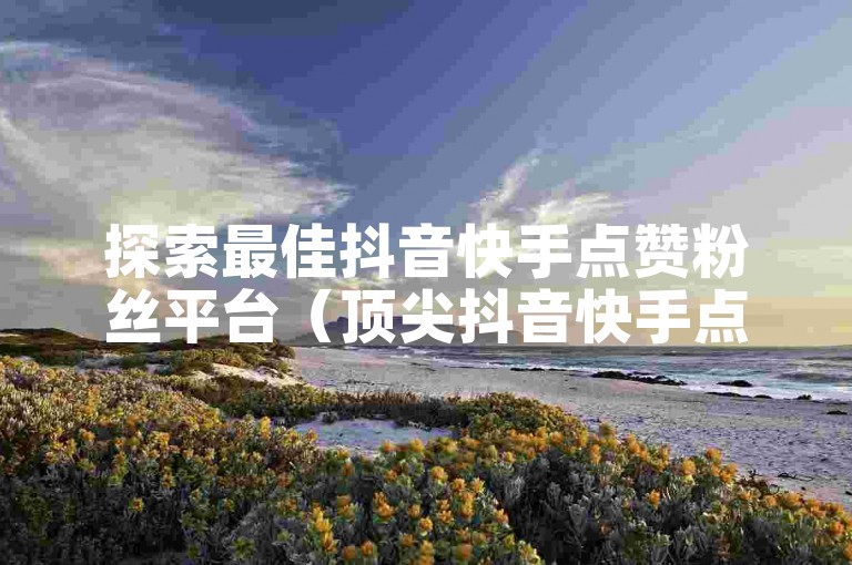 探索最佳抖音快手点赞粉丝平台（顶尖抖音快手点赞粉丝平台精选推荐）