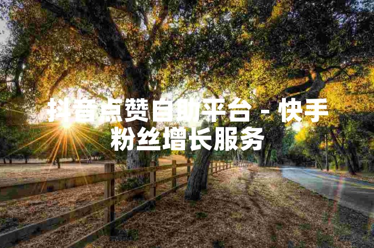 抖音点赞自助平台 - 快手粉丝增长服务