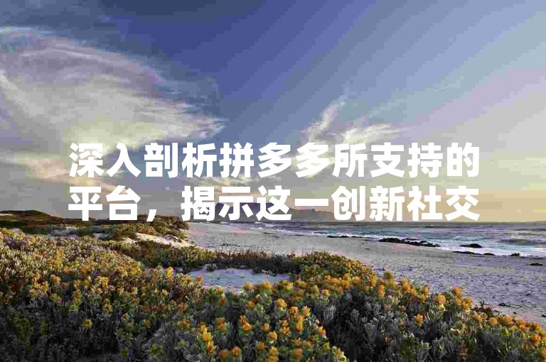 深入剖析拼多多所支持的平台，揭示这一创新社交电商模式背后的强大动力。