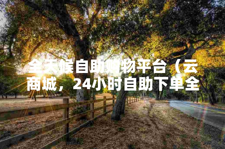全天候自助购物平台（云商城，24小时自助下单全新体验）
