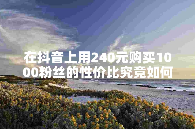 在抖音上用240元购买1000粉丝的性价比究竟如何？