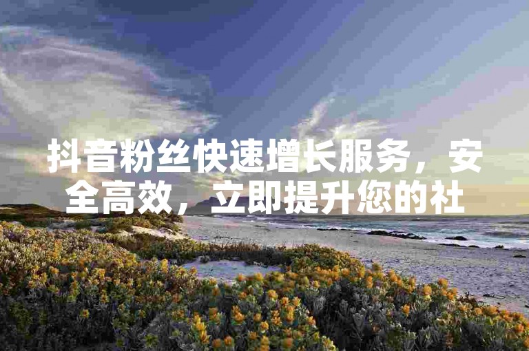 抖音粉丝快速增长服务，安全高效，立即提升您的社交影响力。