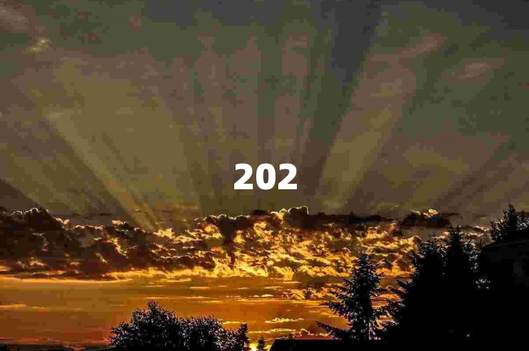 2025年，拼多多砍价助力活动中，大家积极参与互点互帮，形成了热闹的互助氛围。