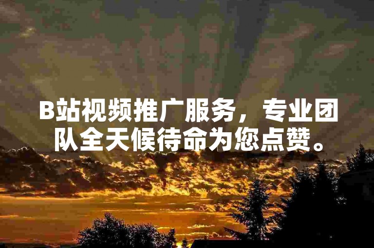 B站视频推广服务，专业团队全天候待命为您点赞。