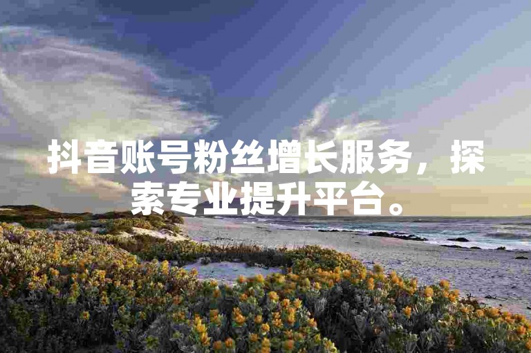 抖音账号粉丝增长服务，探索专业提升平台。