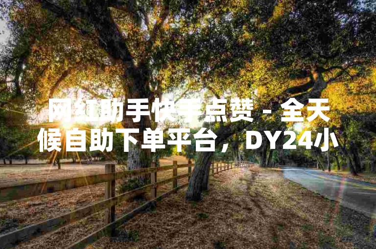 网红助手快手点赞 - 全天候自助下单平台，DY24小时服务。