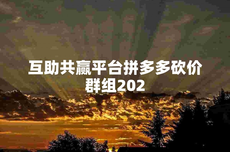 互助共赢平台拼多多砍价群组2025全新升级版。