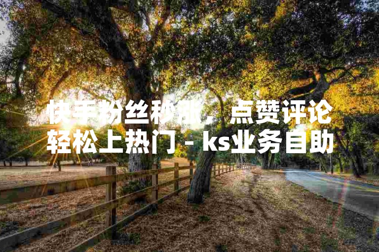 快手粉丝秒涨，点赞评论轻松上热门 - ks业务自助平台，十个赞起步。