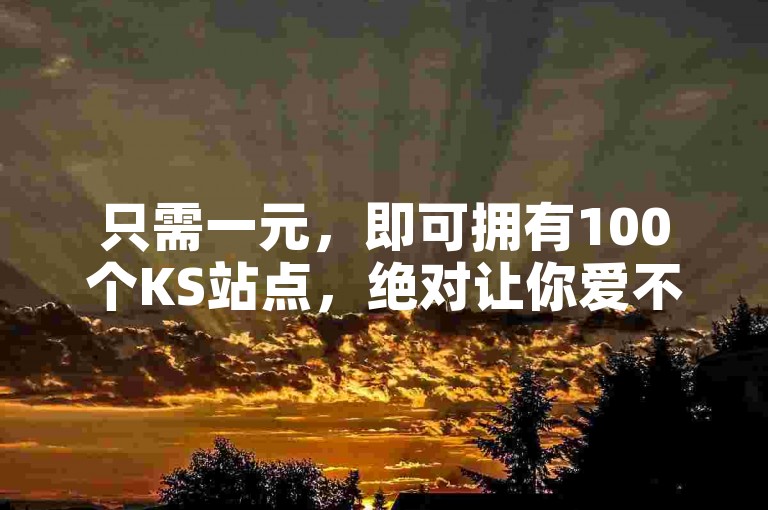 只需一元，即可拥有100个KS站点，绝对让你爱不释手！