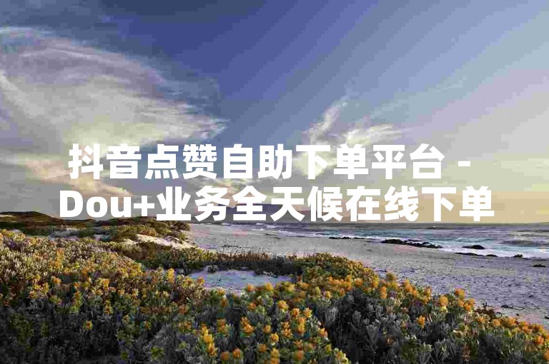 抖音点赞自助下单平台 - Dou+业务全天候在线下单网站