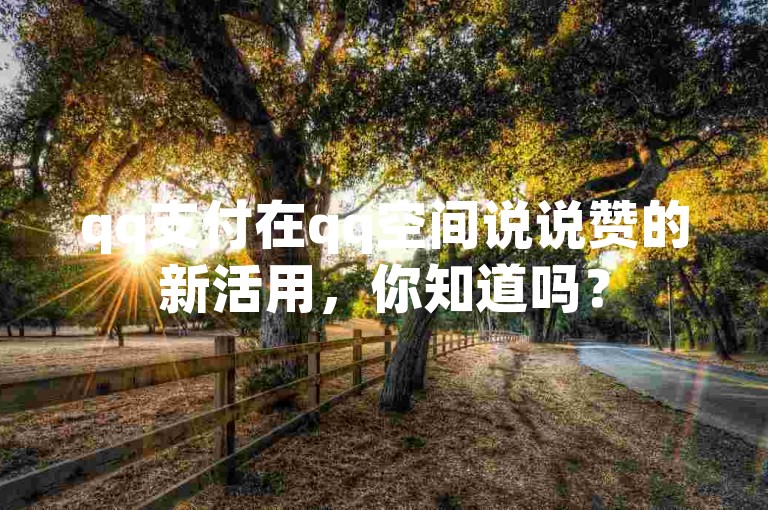 qq支付在qq空间说说赞的新活用，你知道吗？