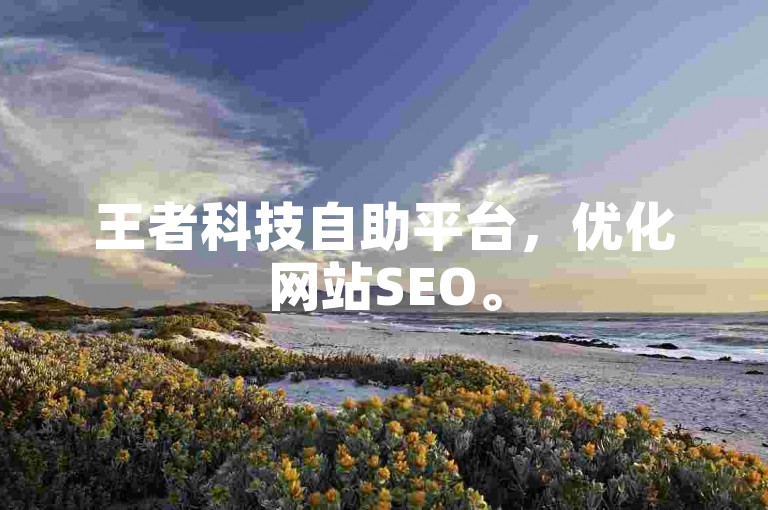 王者科技自助平台，优化网站SEO。