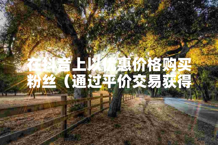 在抖音上以优惠价格购买粉丝（通过平价交易获得粉丝支持）。