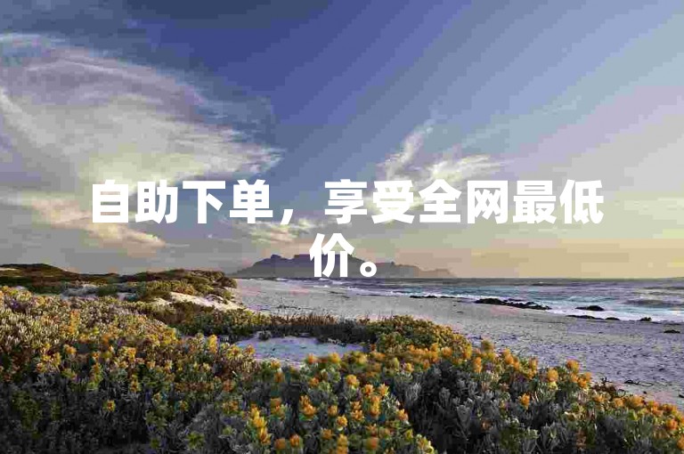 自助下单，享受全网最低价。