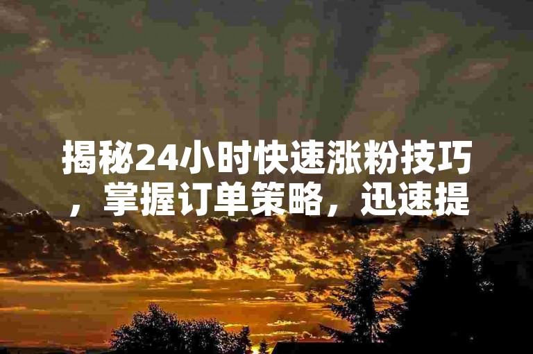 揭秘24小时快速涨粉技巧，掌握订单策略，迅速提升粉丝量！