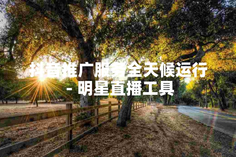 抖音推广服务全天候运行 - 明星直播工具