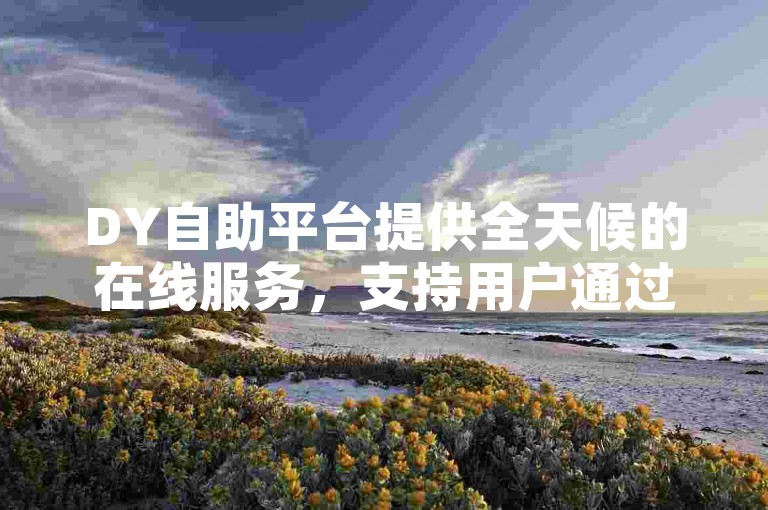DY自助平台提供全天候的在线服务，支持用户通过官网便捷下单。