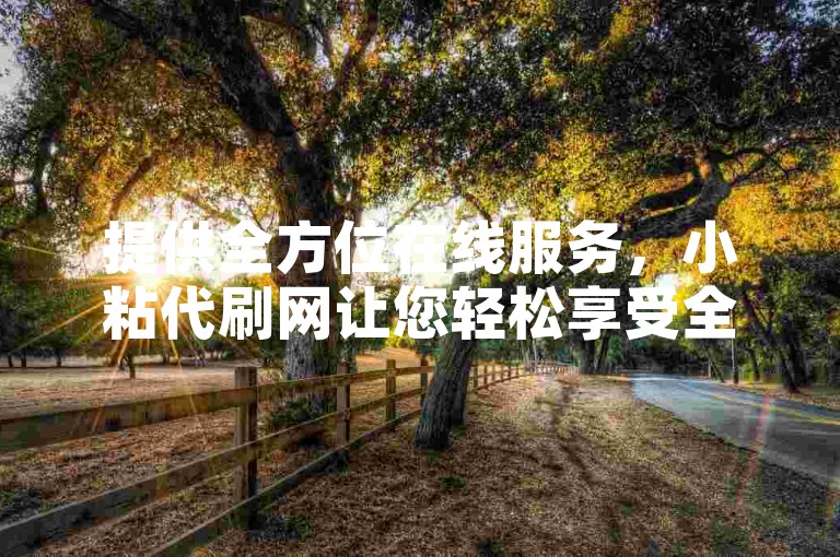 提供全方位在线服务，小粘代刷网让您轻松享受全网最低价格的自助下单体验。