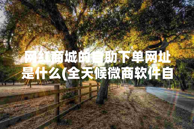 网红商城的自助下单网址是什么(全天候微商软件自助下单平台)？
