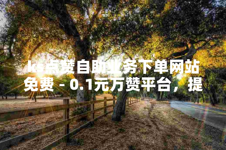 ks点赞自助业务下单网站免费 - 0.1元万赞平台，提供便捷的点赞服务。