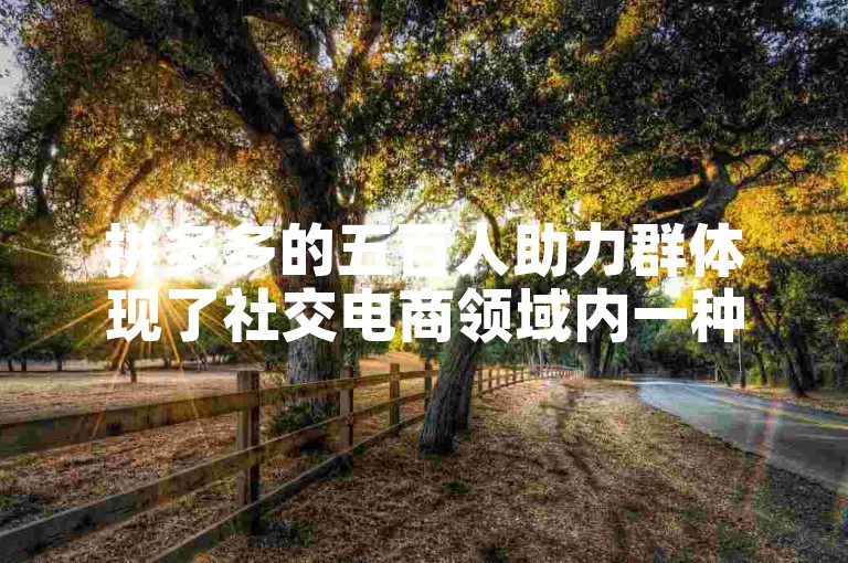 拼多多的五百人助力群体现了社交电商领域内一种新兴的互动模式。