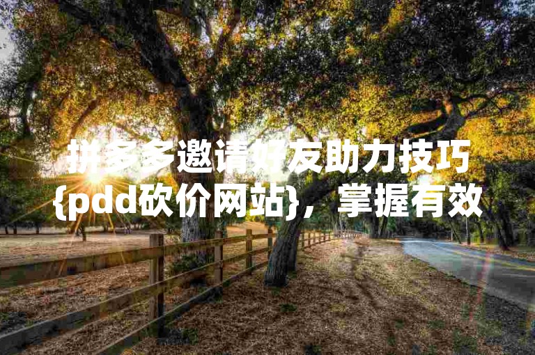 拼多多邀请好友助力技巧{pdd砍价网站}，掌握有效的邀请策略，如分享个性化邀请链接、利用社交媒体广泛传播、提供小礼品激励等，可显著提升助力成功率，让砍价过程更加顺畅高效。