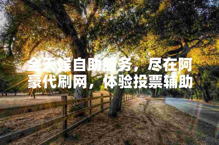 全天候自助服务，尽在阿豪代刷网，体验投票辅助工具的便捷。