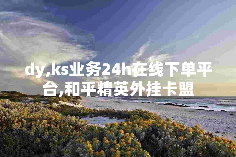 dy,ks业务24h在线下单平台,和平精英外挂卡盟