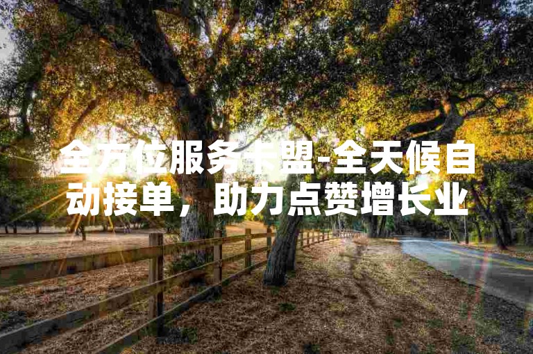 全方位服务卡盟-全天候自动接单，助力点赞增长业务。