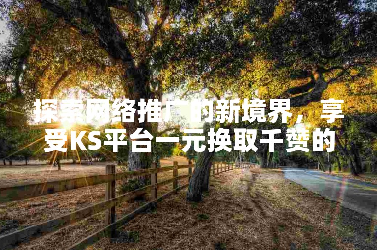 探索网络推广的新境界，享受KS平台一元换取千赞的超值服务，快速提升您的人气与影响力。