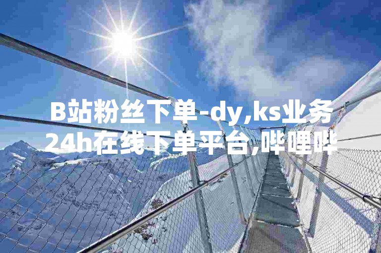 B站粉丝下单-dy,ks业务24h在线下单平台,哔哩哔哩卡盟，提供专业的社交媒体增长服务。